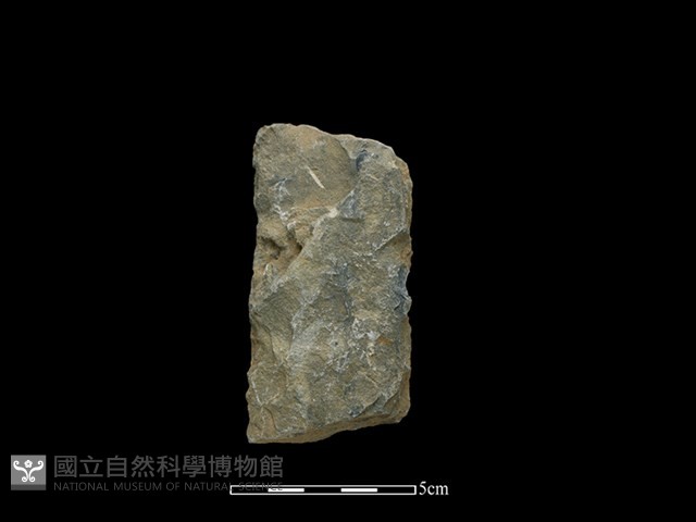 斧鋤形器藏品圖，第1張
