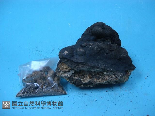 錳核藏品圖，第5張