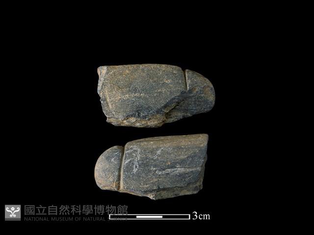 網墜藏品圖，第1張