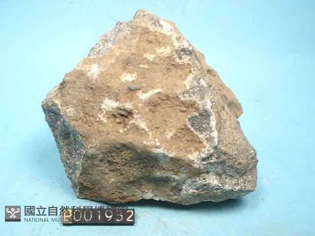 石英安山岩藏品圖，第4張