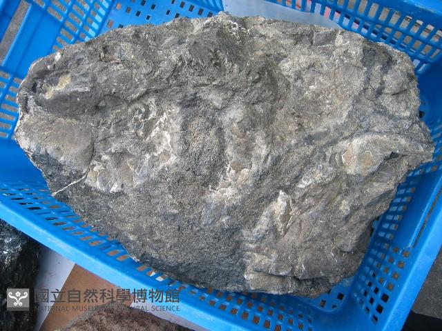 玻璃質玄武岩藏品圖，第3張