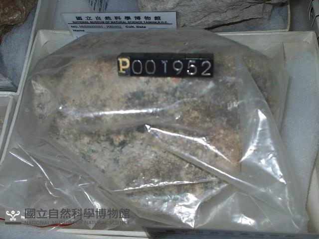 鳥糞石藏品圖，第3張