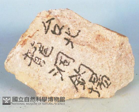 石英砂岩藏品圖，第5張