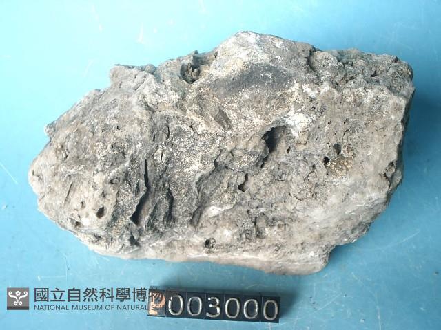 鐘乳石藏品圖，第6張