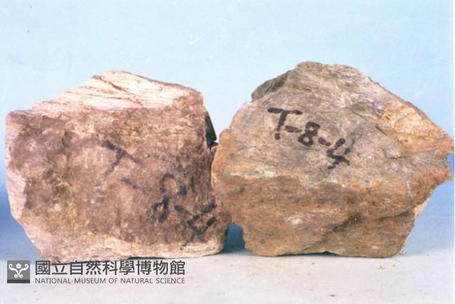 變質燧石、綠色片岩藏品圖，第5張