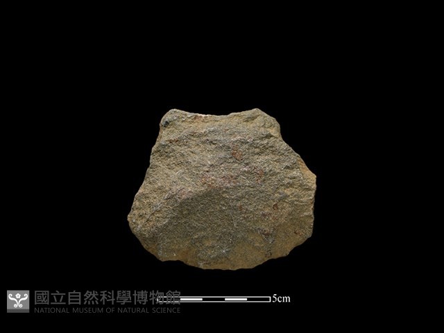 斧鋤形器藏品圖，第1張