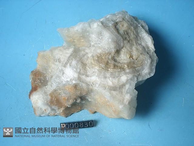 鐘乳石藏品圖，第4張