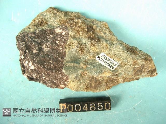 安山岩質角礫岩 藏品圖，第2張