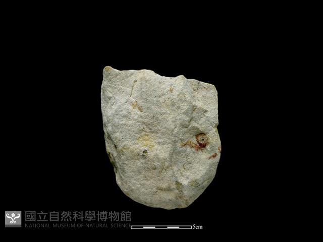 Accession Number:SWT-2021-011 Collection Image, Figure 1, Total 2 Figures