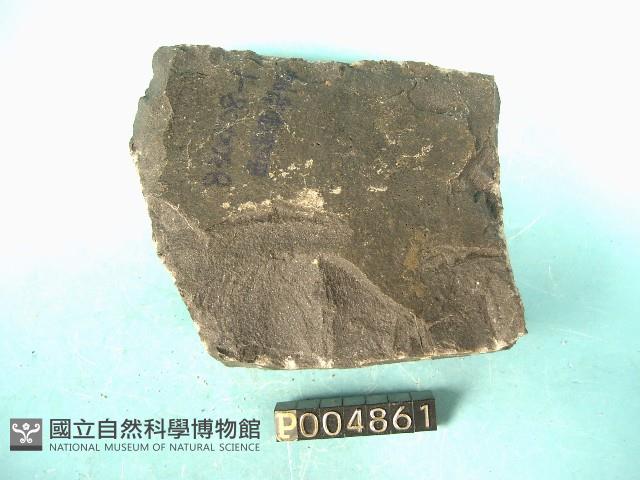 玄武岩藏品圖，第4張