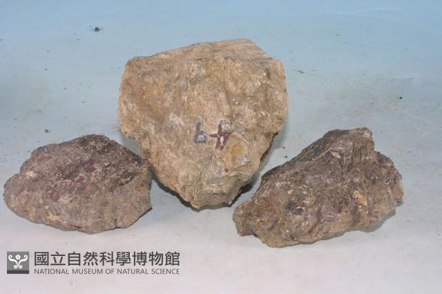 輝長岩藏品圖，第4張