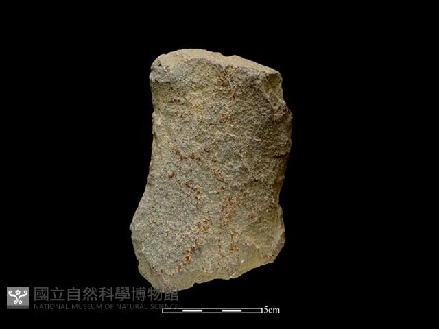 斧鋤形器藏品圖，第1張