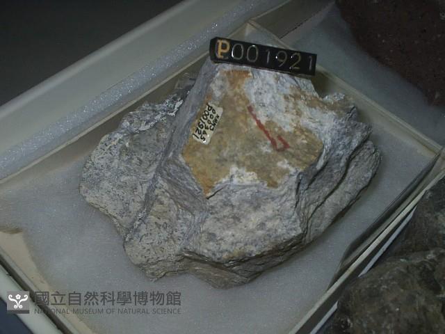 石英安山岩藏品圖，第2張