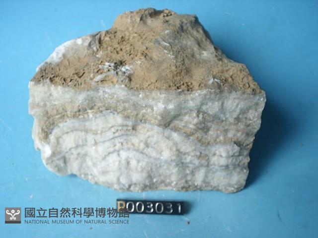 鐘乳石藏品圖，第6張