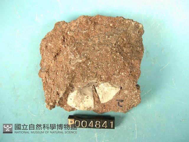 角閃安山岩藏品圖，第2張