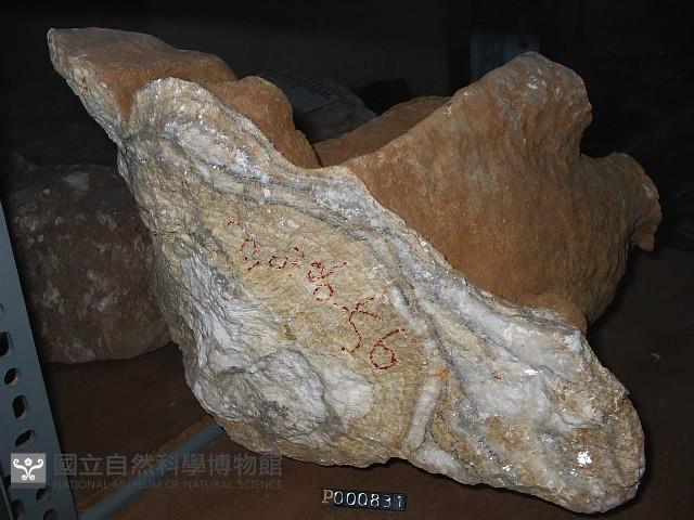 鐘乳石藏品圖，第5張