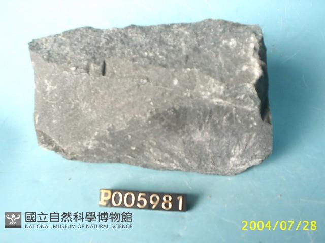 煌斑岩藏品圖，第3張