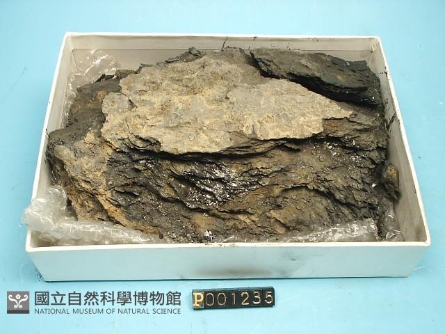 草泥煤藏品圖，第3張