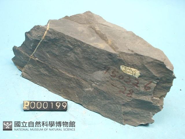 粉砂岩藏品圖，第5張