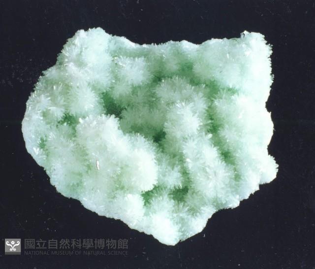 透石膏藏品圖，第5張