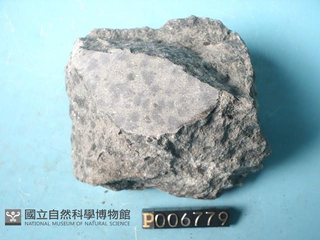 碎屑角礫岩藏品圖，第4張
