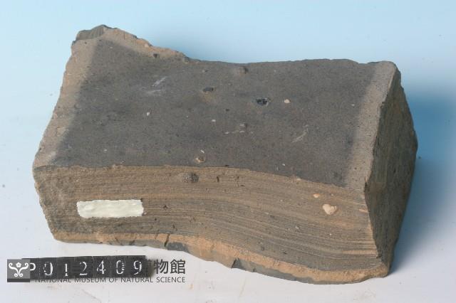 冰磧岩藏品圖，第5張