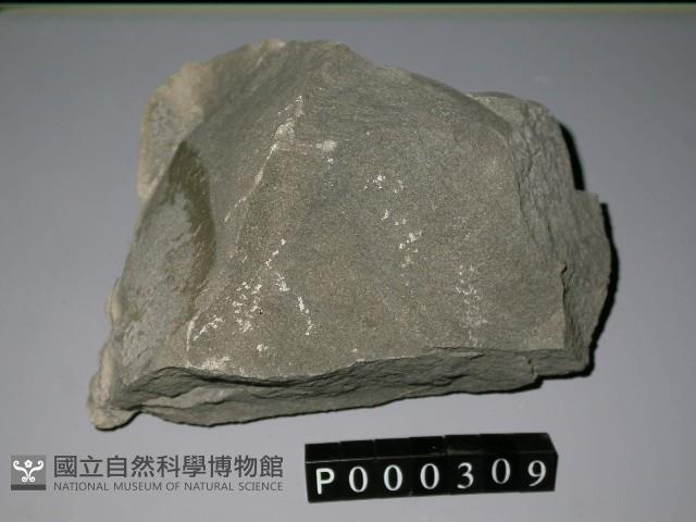 泥岩藏品圖，第4張