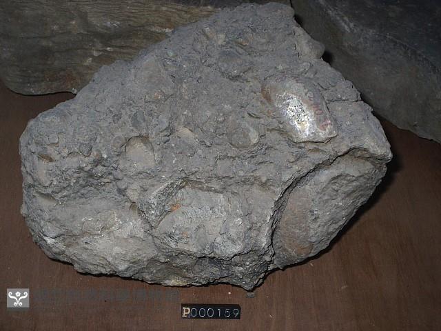 角礫岩藏品圖，第5張