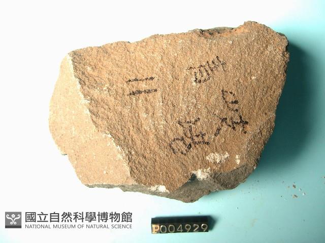 矽質玄武岩藏品圖，第3張
