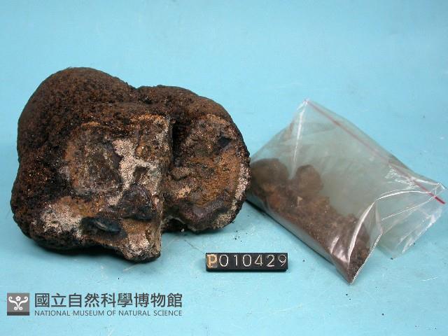 錳核藏品圖，第5張