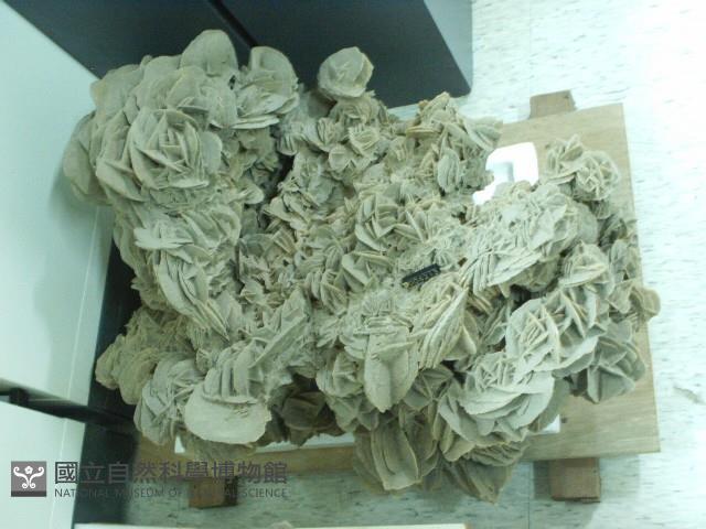 石膏藏品圖，第5張