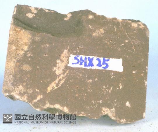 玄武岩藏品圖，第2張
