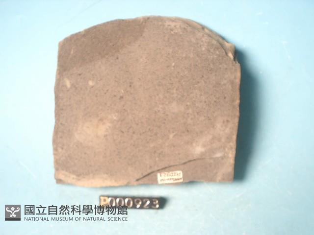 粉砂岩藏品圖，第6張