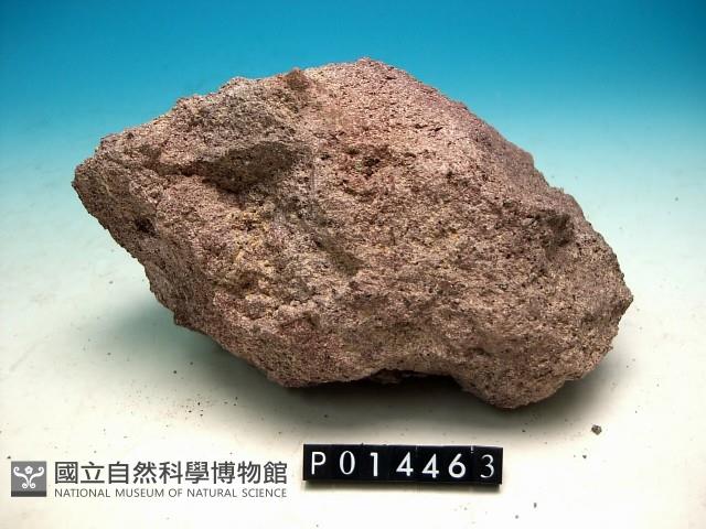 輝石安山岩藏品圖，第2張