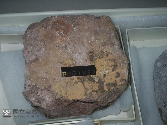 火山碎屑岩藏品圖，第3張