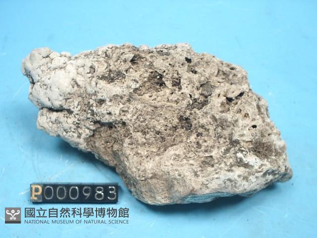 石灰華藏品圖，第6張