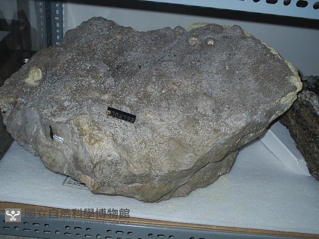北投石藏品圖，第3張