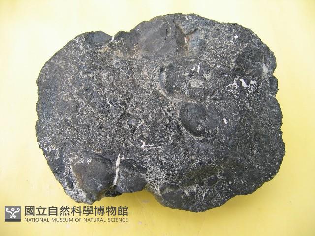 玻璃質玄武岩藏品圖，第3張