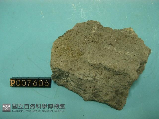 角閃石安山岩藏品圖，第2張