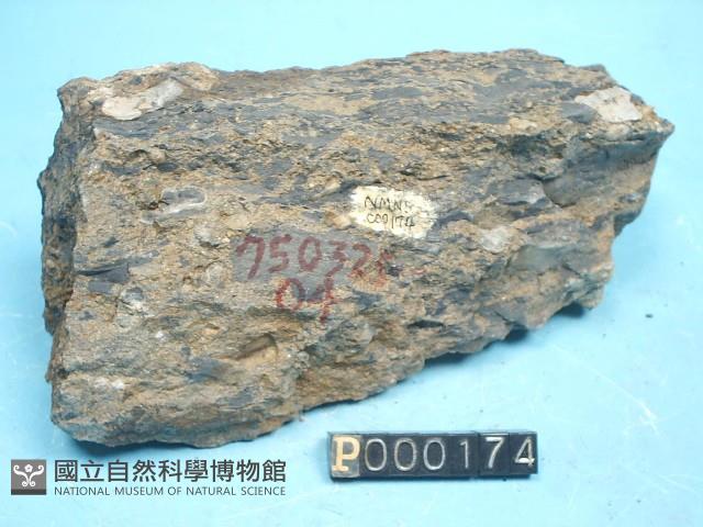 礫岩藏品圖，第5張
