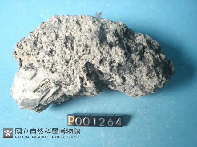 石灰華藏品圖，第5張