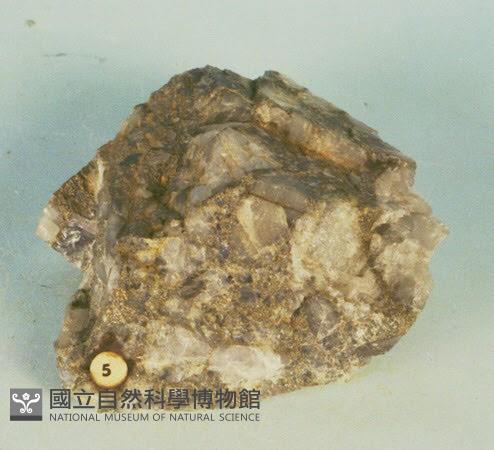 含金礫岩藏品圖，第5張