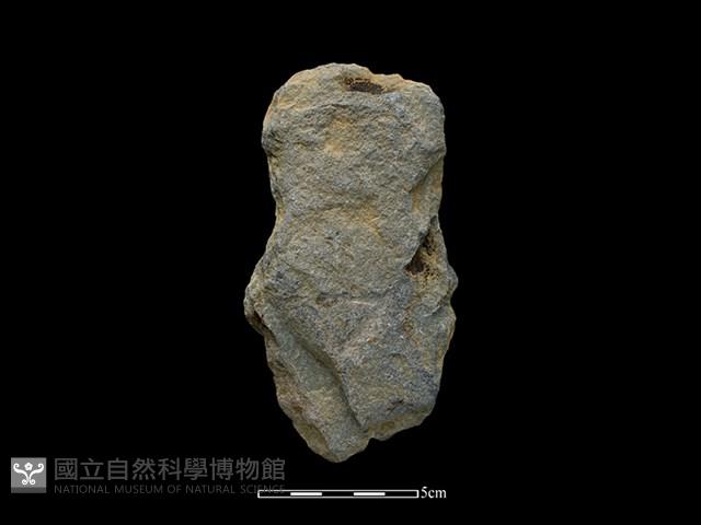 Accession Number:SWK-2020-054 Collection Image, Figure 1, Total 2 Figures