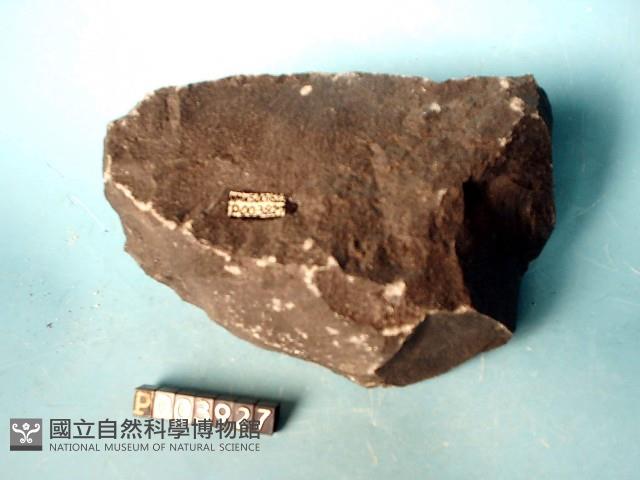 鹼性玄武岩藏品圖，第2張
