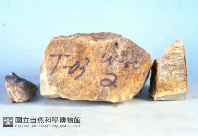 變質燧石藏品圖，第5張