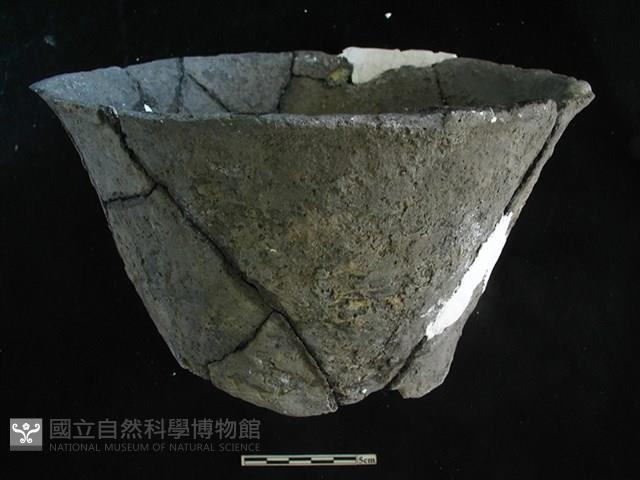 Accession Number:HLL-P-PT0867 Collection Image, Figure 1, Total 2 Figures