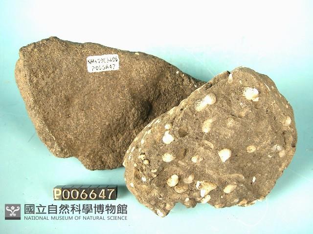 矽質玄武岩藏品圖，第3張