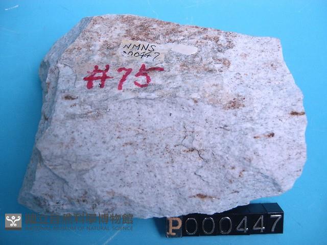 長石砂岩藏品圖，第5張