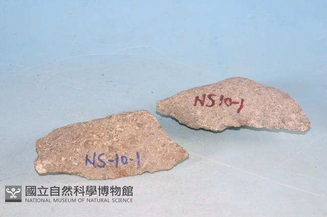 火山礫凝灰岩藏品圖，第4張