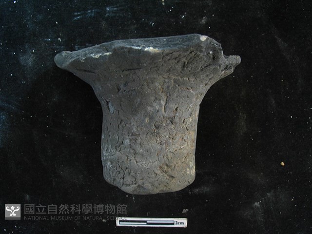 陶蓋藏品圖，第1張